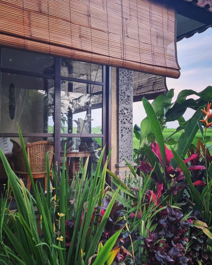 Sava Eco Retreat Hotell Padangan  Eksteriør bilde