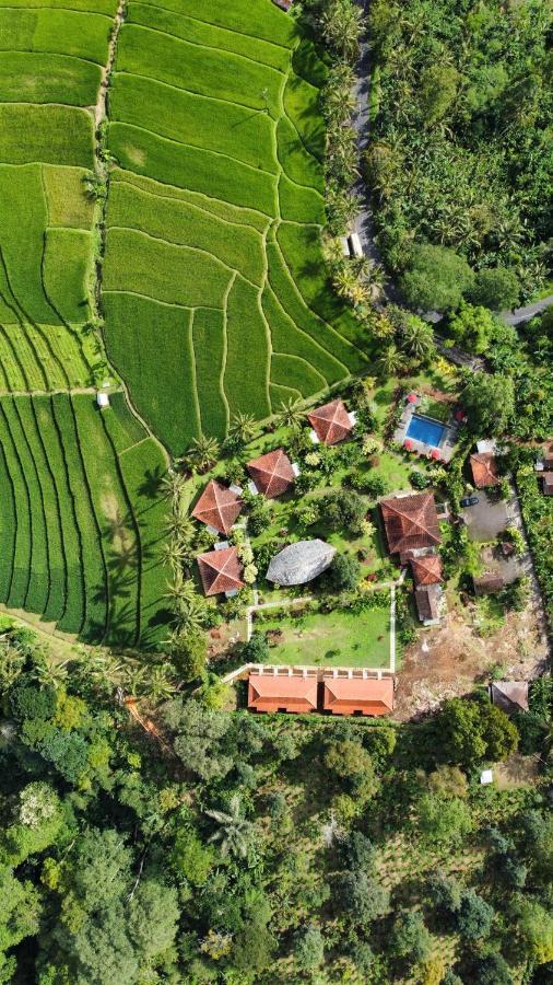 Sava Eco Retreat Hotell Padangan  Eksteriør bilde