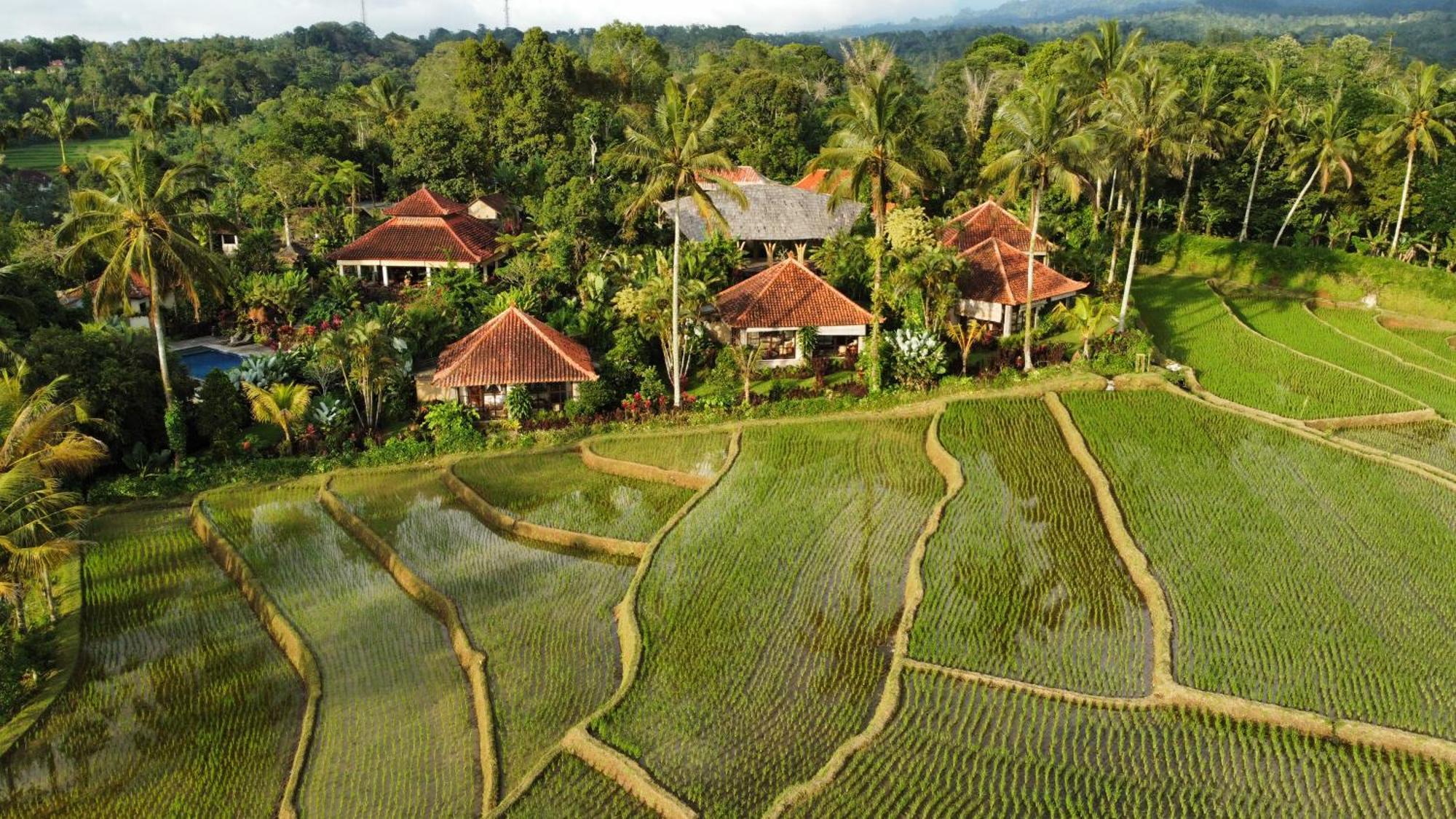 Sava Eco Retreat Hotell Padangan  Eksteriør bilde